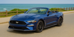 Ford Mustang Perfomance для аренды в Сочи